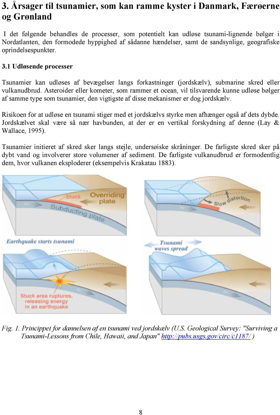 1 Udløsende processer Tsunamier kan udløses af bevægelser langs forkastninger (jordskælv), submarine skred eller vulkanudbrud.