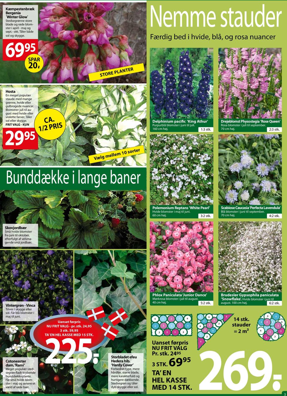 Blomstrer juli til august med hvide eller violette farver. Tåler sol eller skygge. - 29 95 CA. /2 pris Vælg mellem 0 sorter Delphinium pacific King Athur Purpurblå blomster i juni til juli. 60 cm høj.