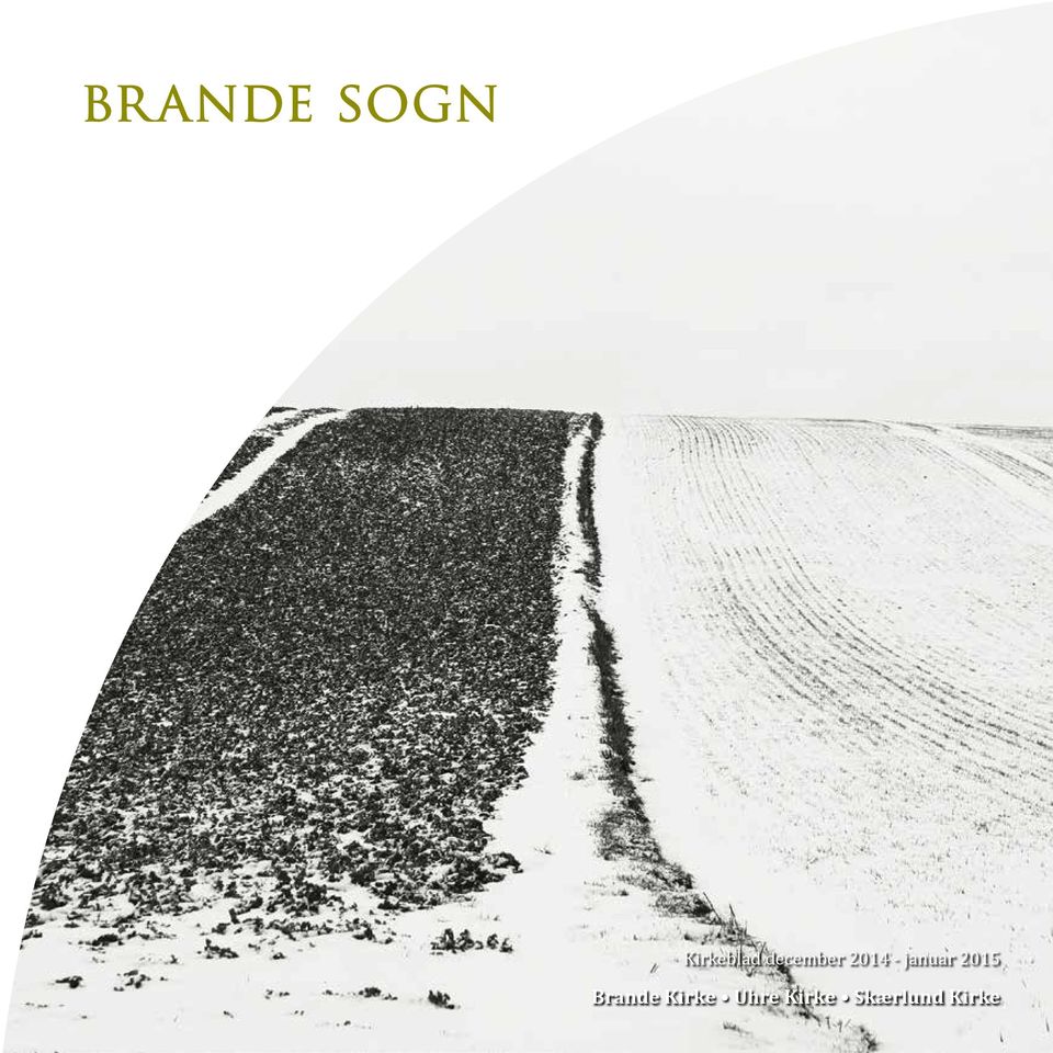 januar 2015 Brande