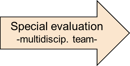 Vocational rehabilitation closely connected to the assessment Evaluation over time Multidiciplinary approach at all points The aim is to work systematically with loss of function through vocational