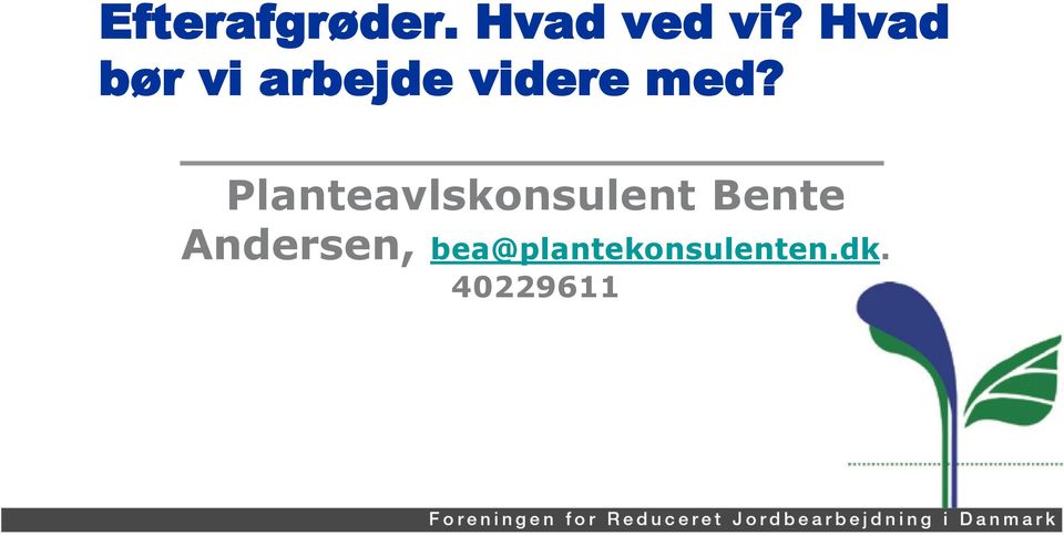 Planteavlskonsulent Bente