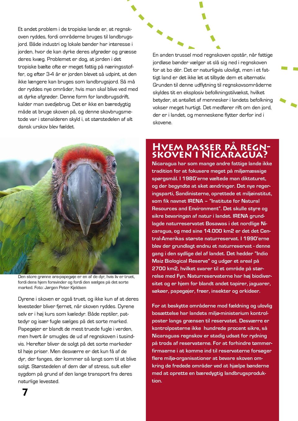 PAPEGØJE SAVNES UNDERVISNINGSMATERIALE KLASSE. Lær om Regnskoven Klimaer Ara-papegøjen  Bæredygtighed Fotosyntese Nicaragua - PDF Gratis download