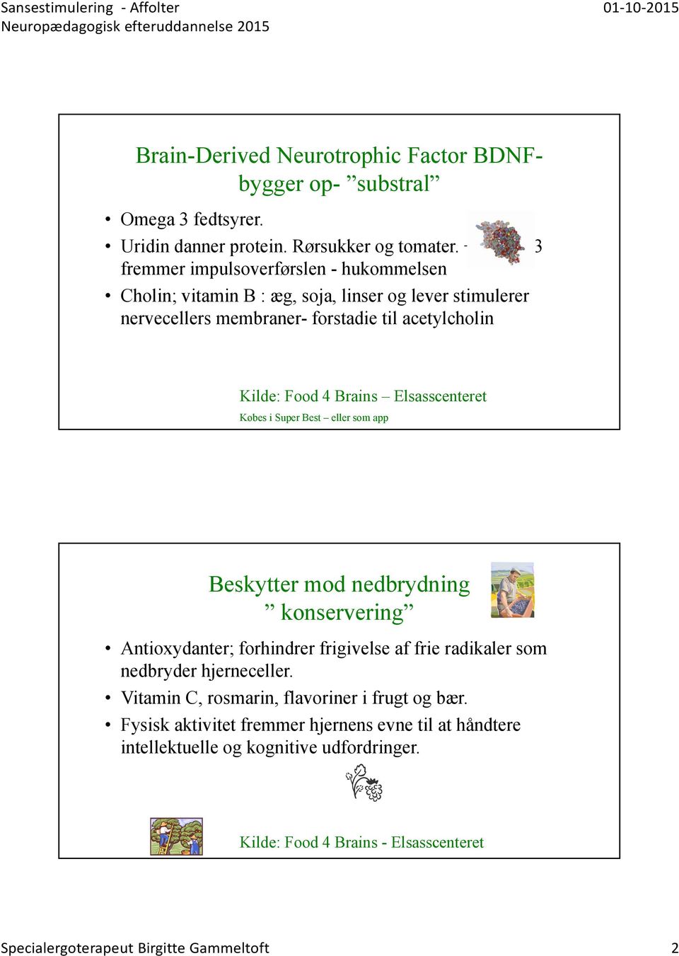 Noter til Neuropædagogisk efteruddannelse. Introduction. Birgitte ...