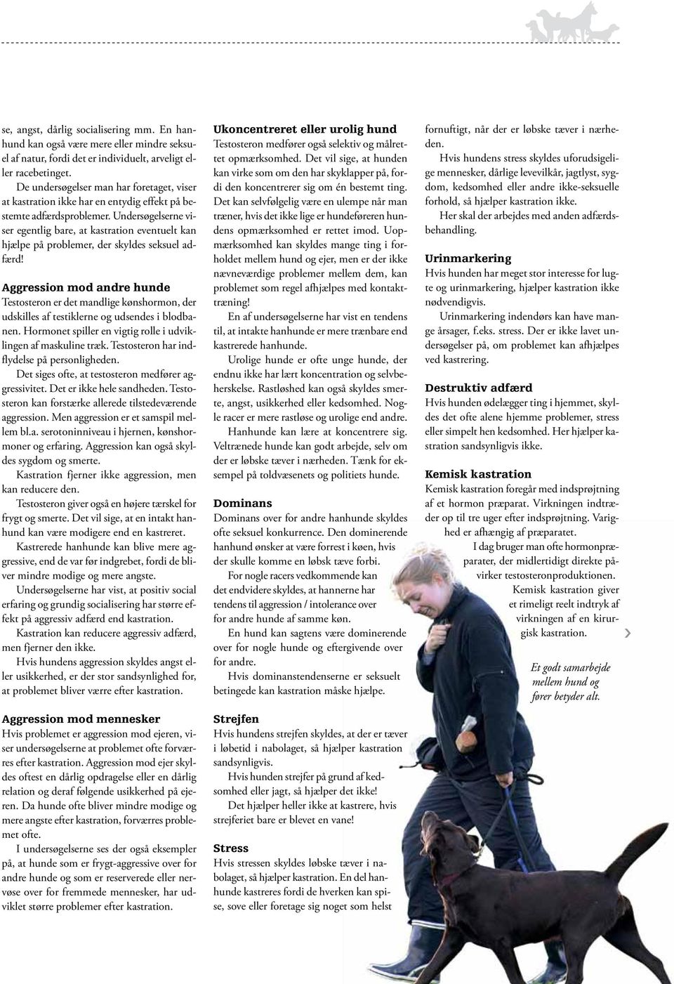 HORMONER, KASTRATION OG ADFÆRD. Fup og fakta om hanhunde. Min hund har. VM  for belgiske hyrdehunde DM i Nordisk - PDF Free Download