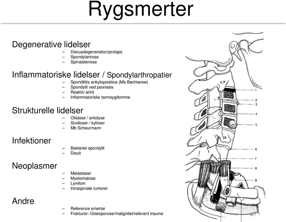 tarmsygdomme Strukturelle lidelser Olistese / arkolyse Scolioser / kyfoser Mb Scheurmann Infektioner Bakteriel spondylit