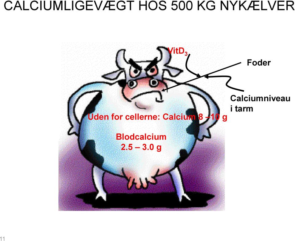 cellerne: Calcium 8 10 g