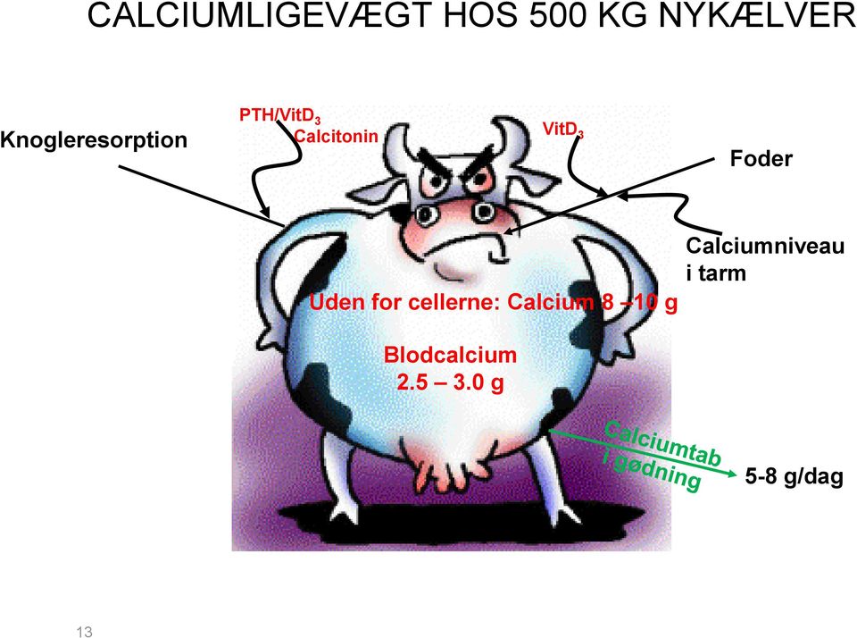 3 Foder Uden for cellerne: Calcium 8 10 g