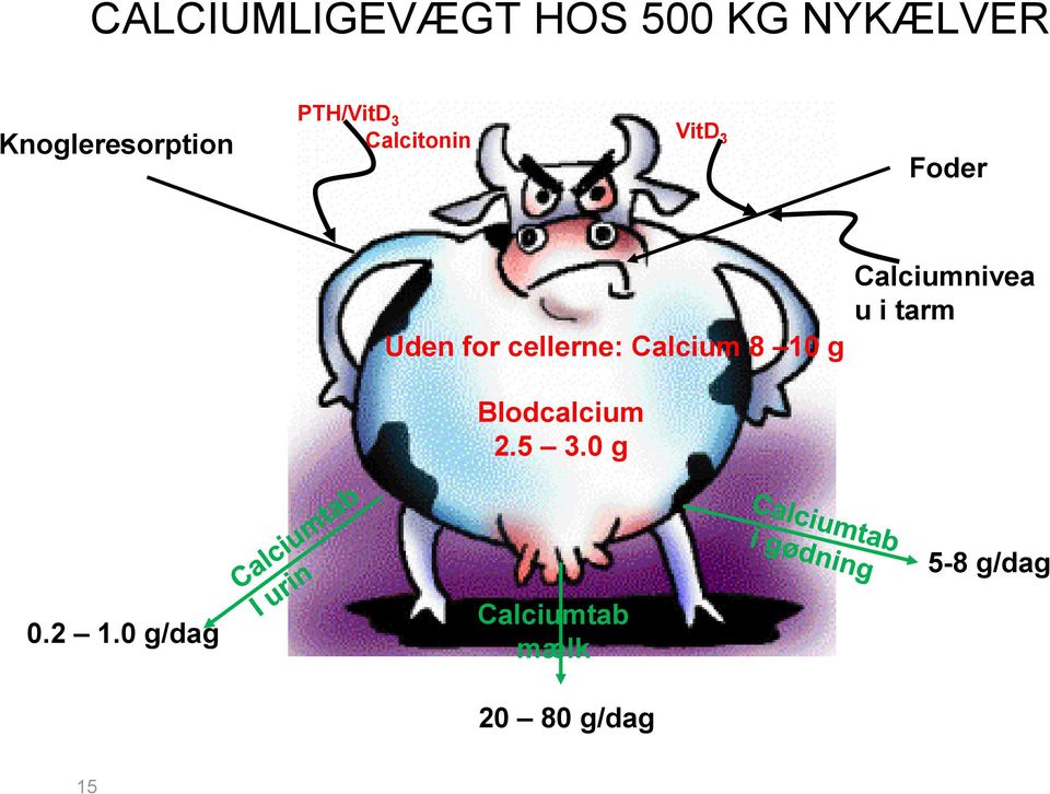 Calcium 8 10 g Calciumnivea u i tarm Blodcalcium 2.5 3.