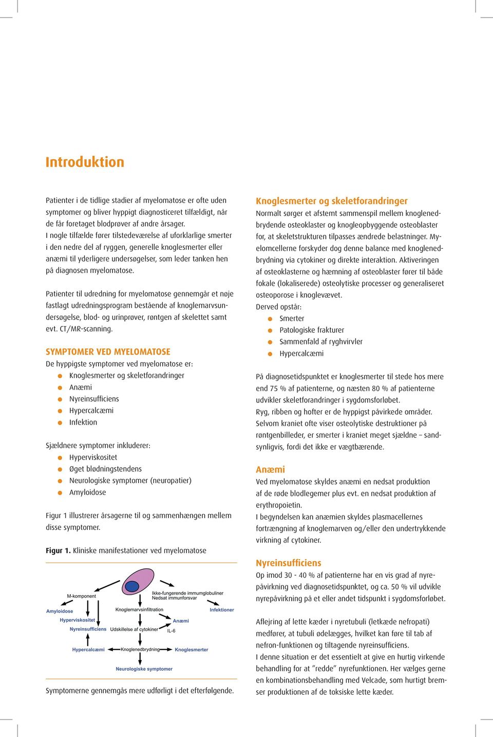 Diagnosticering. sygeplejerske info om myelomatose - PDF Gratis download