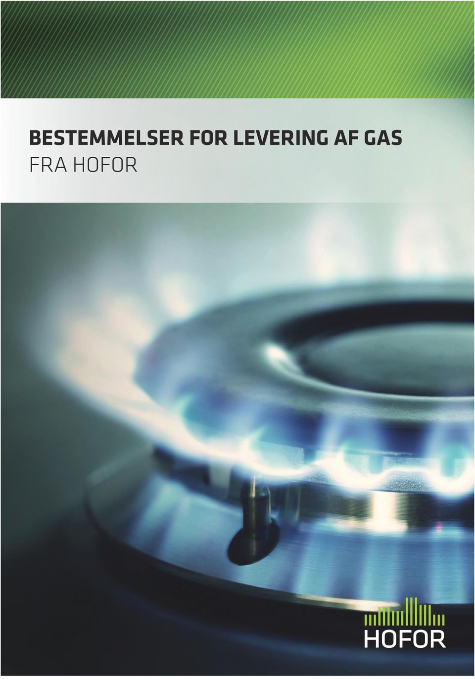 BESTEMMELSER FOR LEVERING AF GAS FRA HOFOR - PDF Free Download