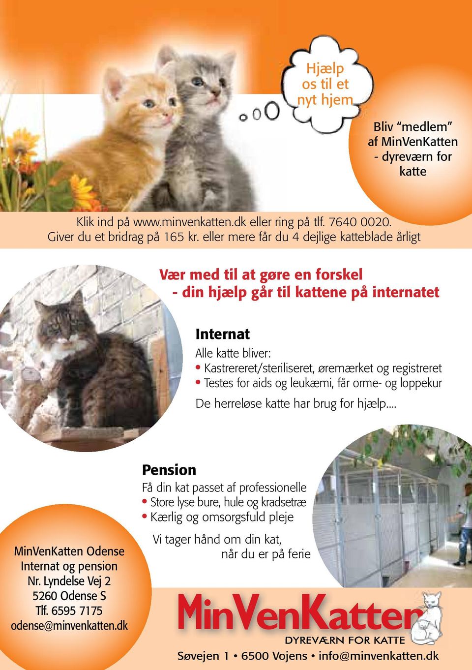 Aktivering af katte. - den bedste start for dig og din kat - PDF ...