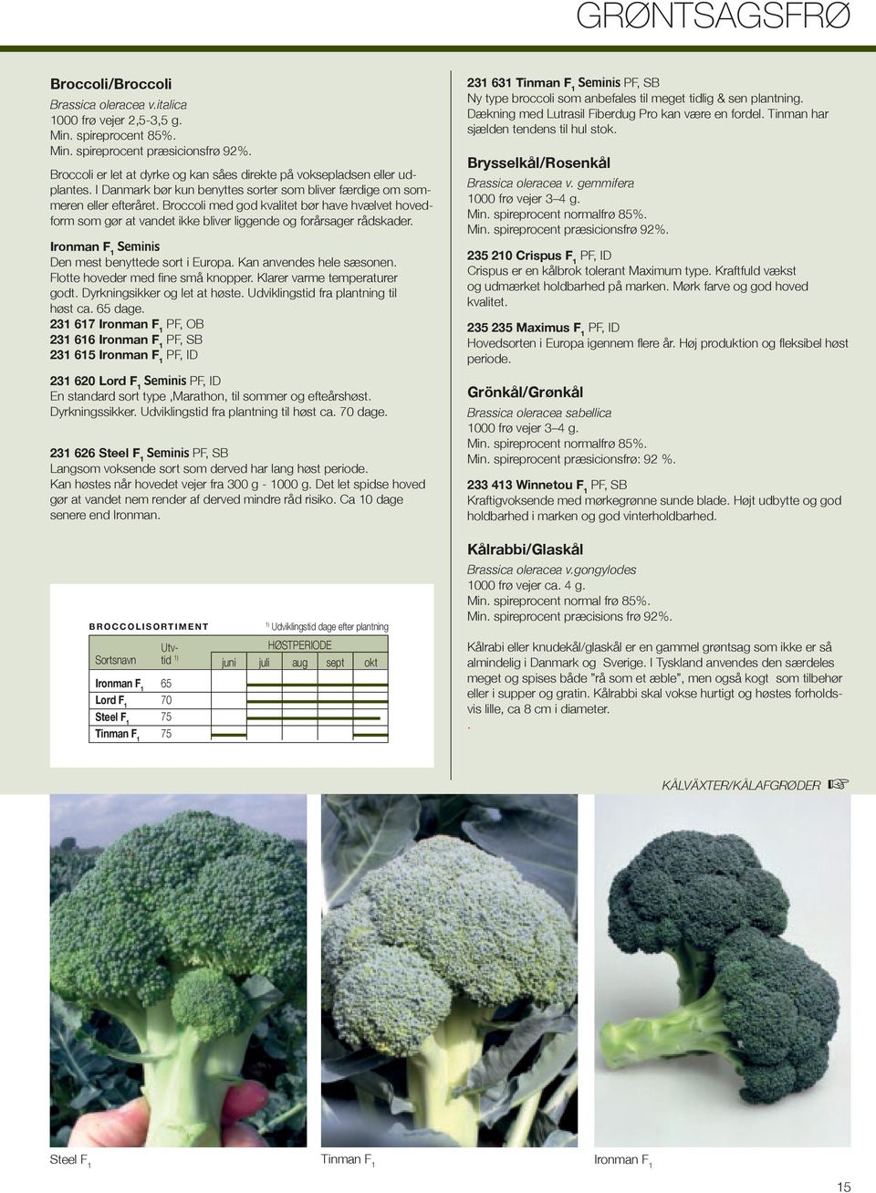 Broccoli med god kvalitet bør have hvælvet hovedform som gør at vandet ikke bliver liggende og forårsager rådskader. Ironman F 1 Den mest benyttede sort i Europa. Kan anvendes hele sæsonen.