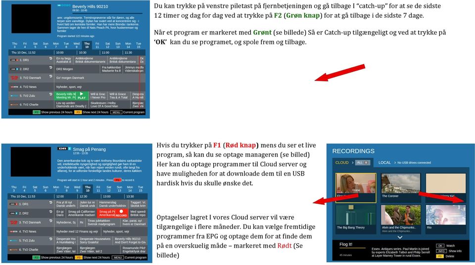 Hvis du trykker på F1 (Rød knap) mens du ser et live program, så kan du se optage manageren (se billed) Her kan du optage programmer til Cloud server og have muligheden for at downloade dem til
