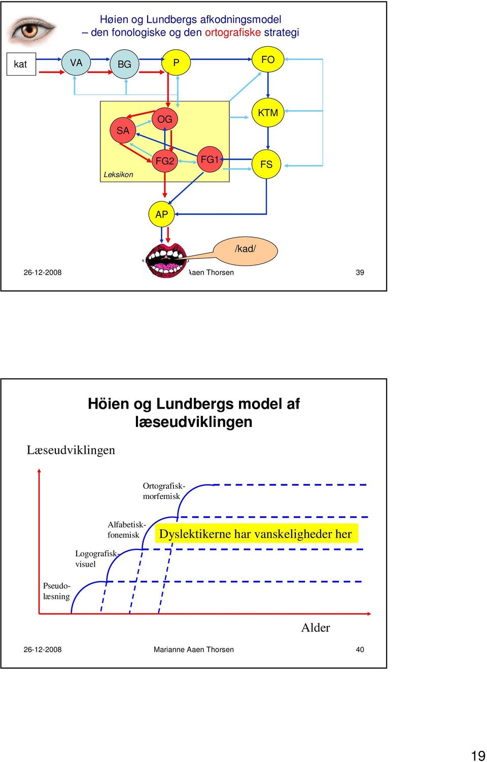 Höien og Lundbergs model af læseudviklingen Alfabetiskfonemisk Ortografiskmorfemisk