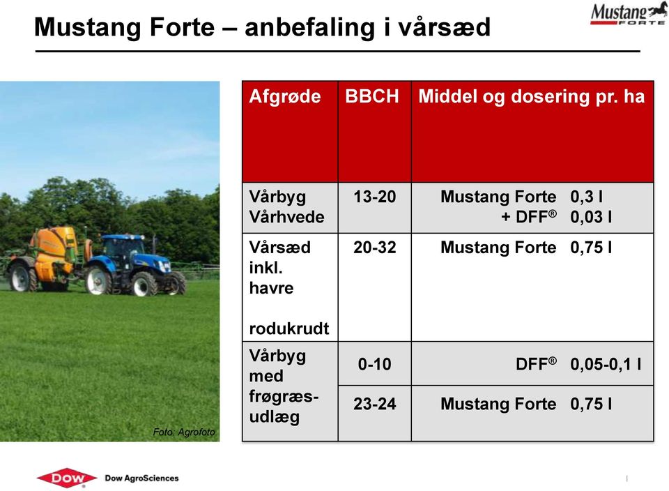 havre rodukrudt Vårbyg med frøgræsudlæg 13-20 Mustang Forte + DFF 0,3