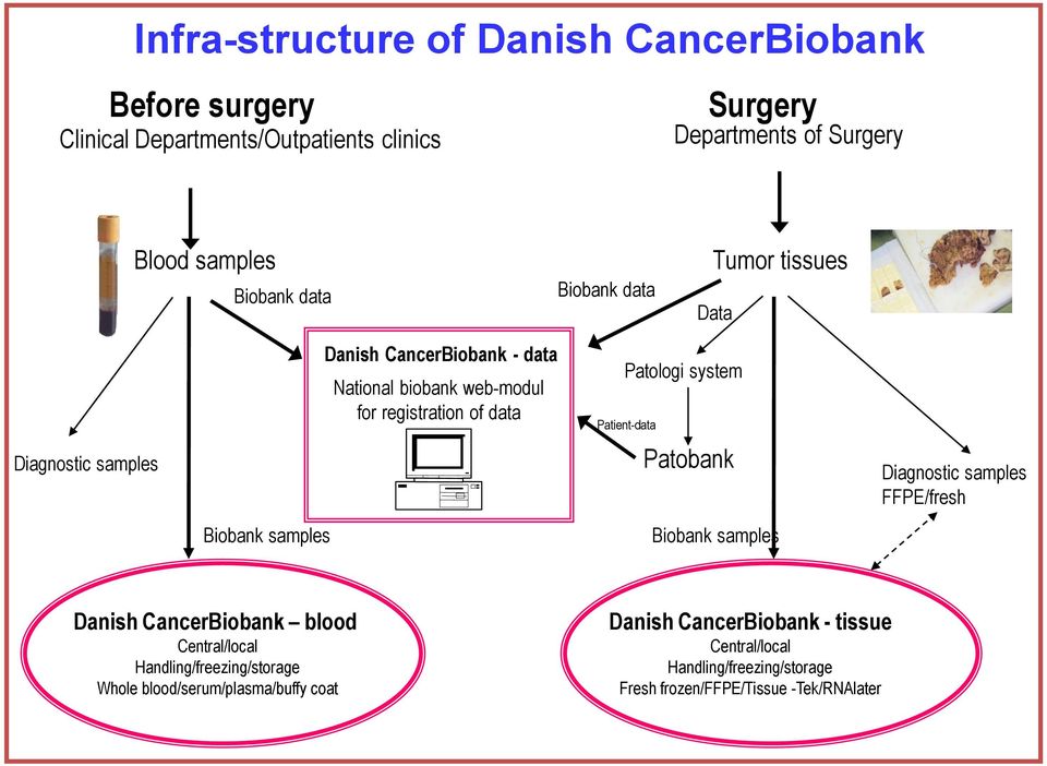 data Patologi system Patient-data Patobank Biobank samples Diagnostic samples FFPE/fresh Danish CancerBiobank blood Central/local