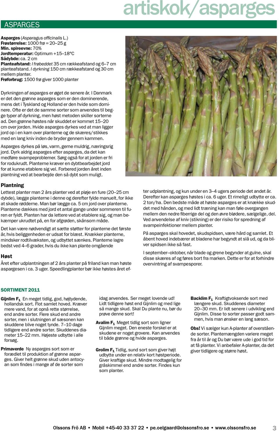 Frøforbrug: 1500 frø giver 1000 planter Dyrkningen af asparges er øget de senere år.