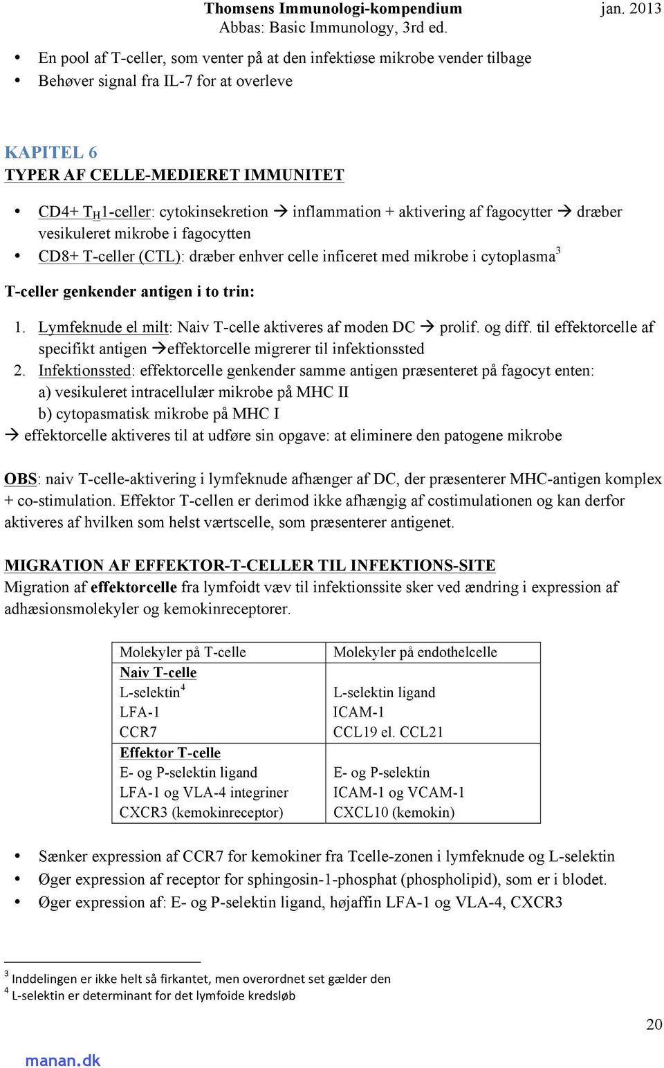 Lymfeknude el milt: Naiv T-celle aktiveres af moden DC à prolif. og diff. til effektorcelle af specifikt antigen à effektorcelle migrerer til infektionssted 2.