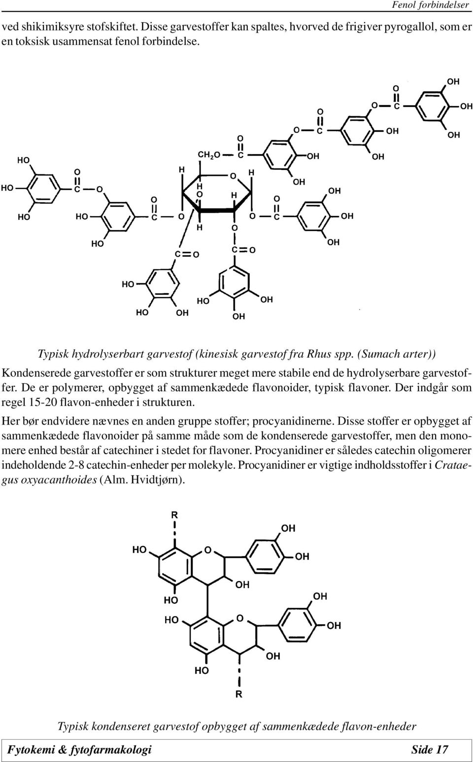 De er polymerer, opbygget af sammenkædede flavonoider, typisk flavoner. Der indgår som regel 15-20 flavon-enheder i strukturen. Her bør endvidere nævnes en anden gruppe stoffer; procyanidinerne.