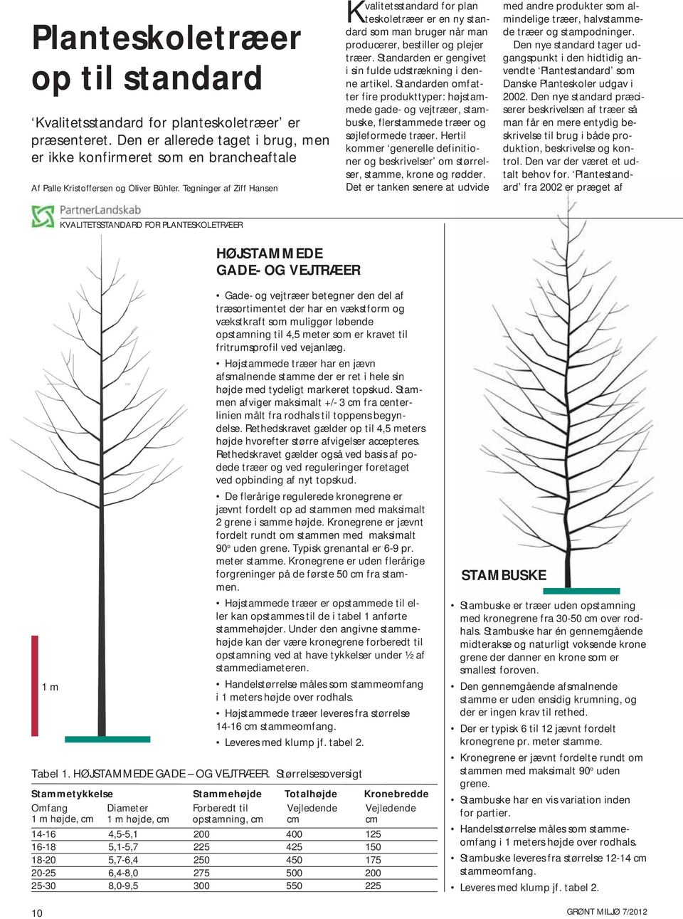 Tegninger af Ziff Hansen Kvalitetsstandard for plan teskoletræer er en ny standard som man bruger når man producerer, bestiller og plejer træer.