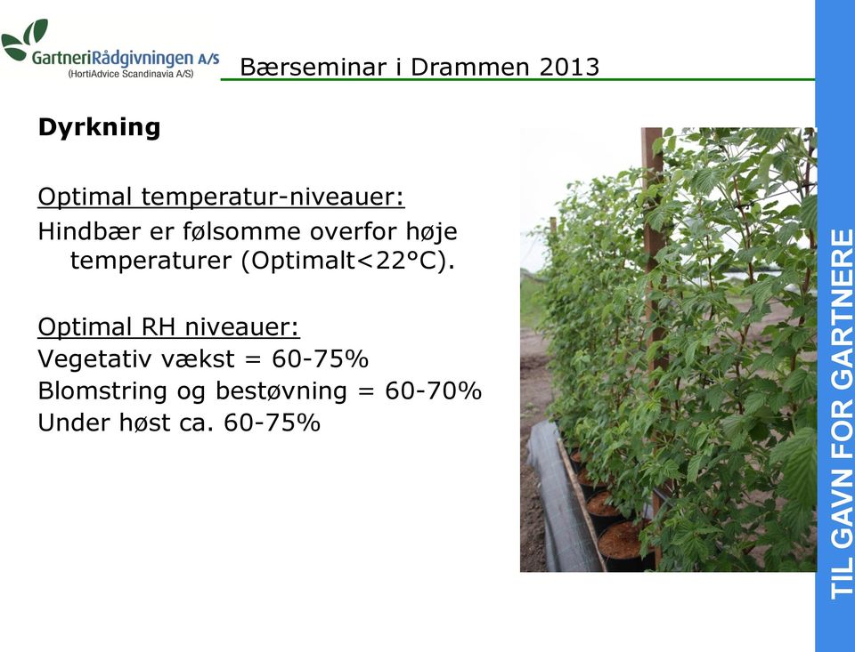 Optimal RH niveauer: Vegetativ vækst = 60-75%