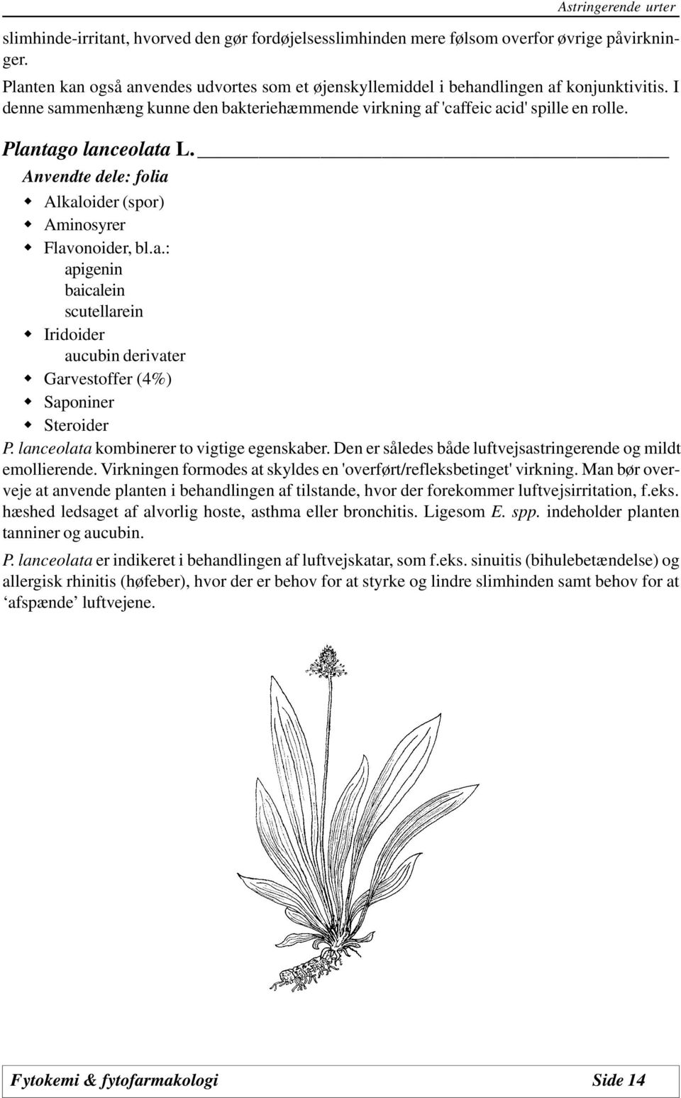 Plantago lanceolata L. Anvendte dele: folia Alkaloider (spor) Aminosyrer Flavonoider, bl.a.: apigenin baicalein scutellarein Iridoider aucubin derivater Garvestoffer (4%) Saponiner Steroider P.