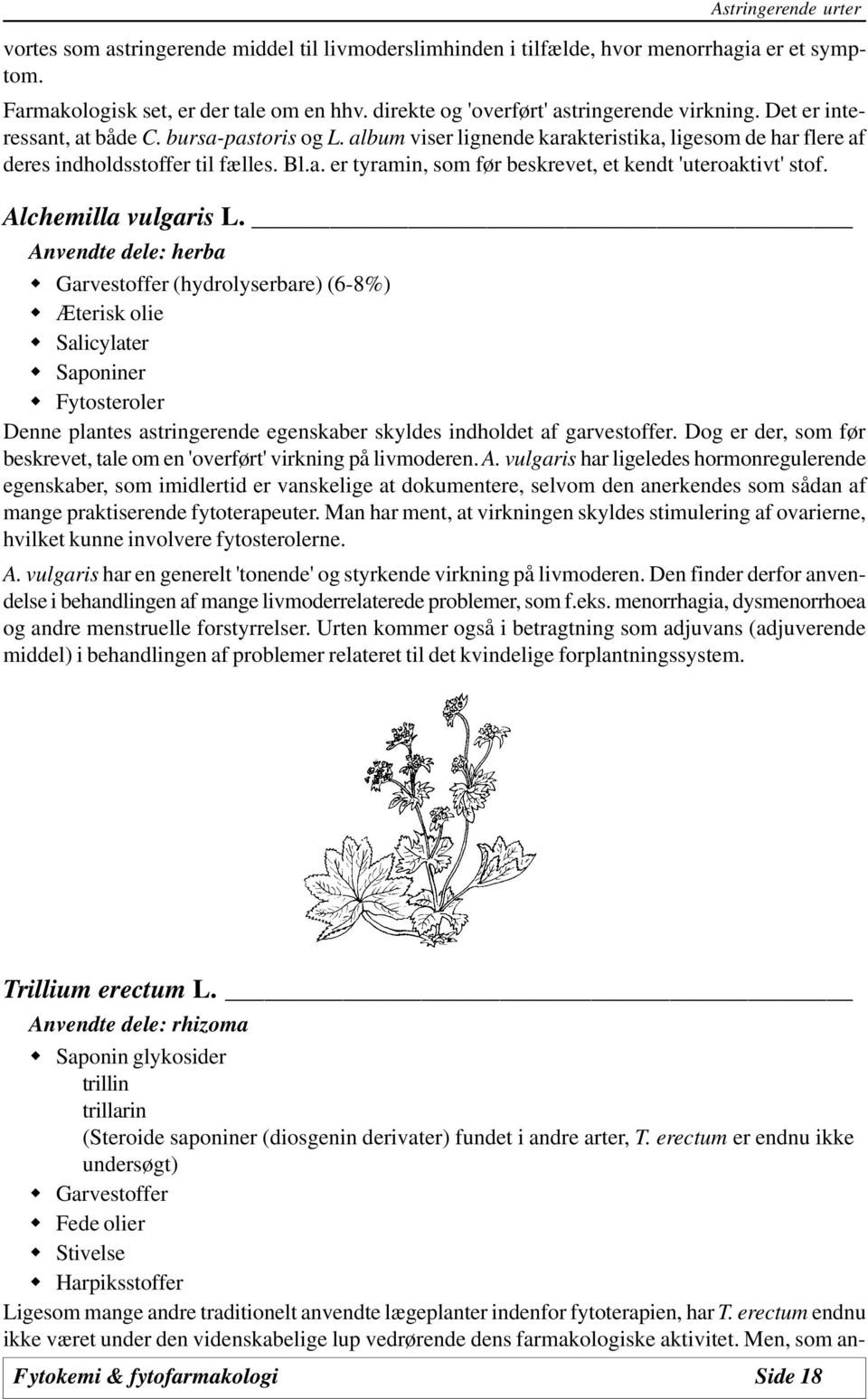 Alchemilla vulgaris L.