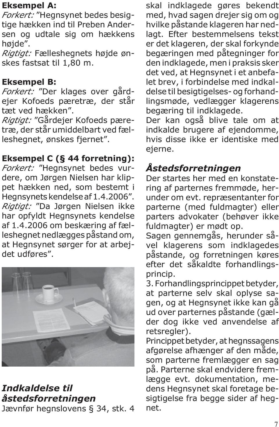 Eksempel C ( 44 forretning): Forkert: Hegnsynet bedes vurdere, om Jørgen Nielsen har klippet hækken ned, som bestemt i Hegnsynets kendelse af 1.4.2006.
