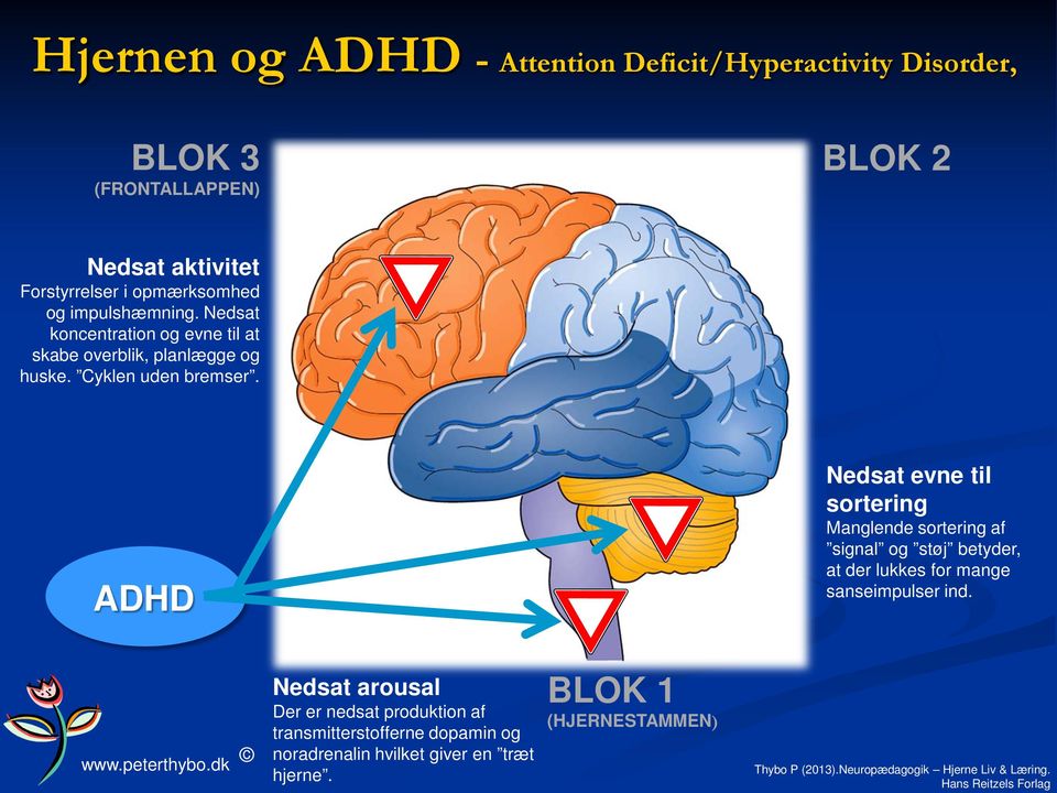 ADHD Nedsat evne til sortering Manglende sortering af signal og støj betyder, at der lukkes for mange sanseimpulser ind.