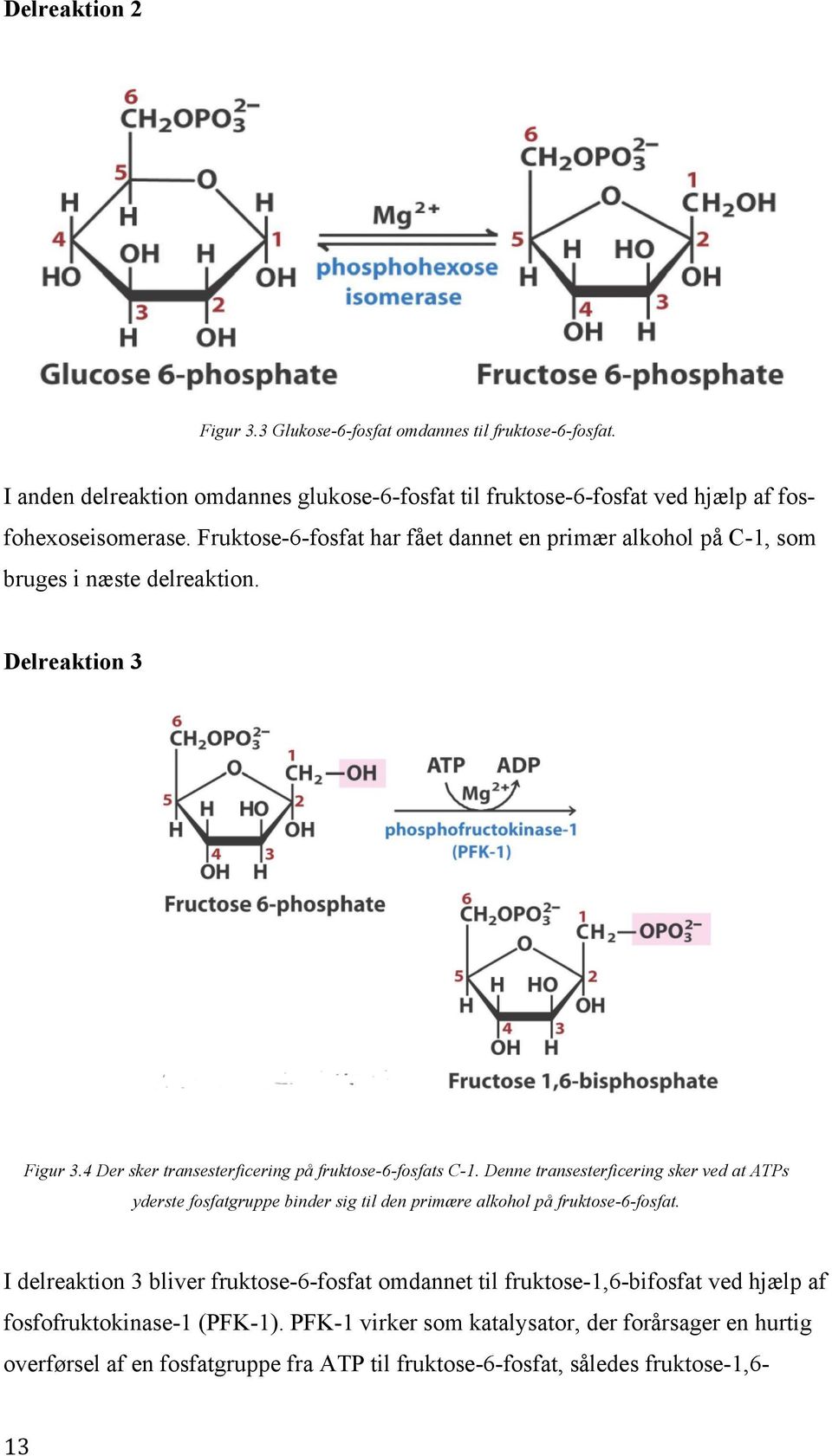 Denne transesterficering sker ved at ATPs yderste fosfatgruppe binder sig til den primære alkohol på fruktose-6-fosfat.