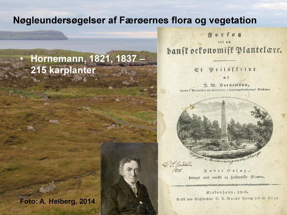 vegetation Hornemann, 1821,