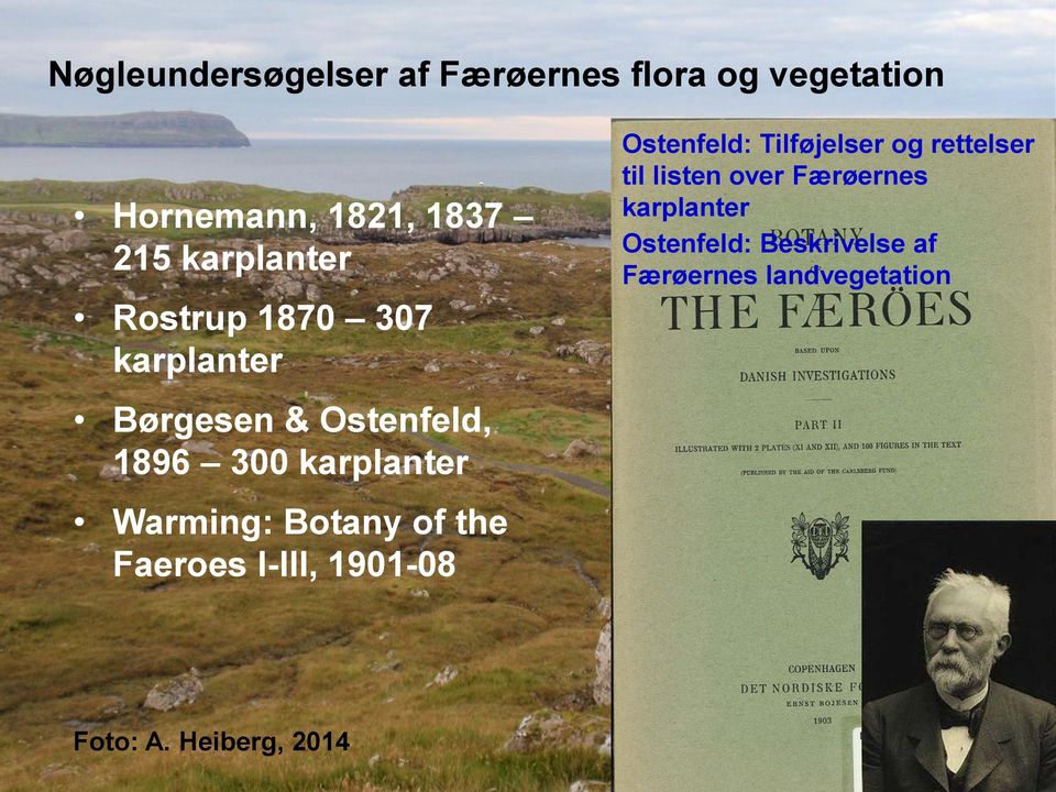 Warming: Botany of the Faeroes I-III, 1901-08 Ostenfeld: Tilføjelser og rettelser til