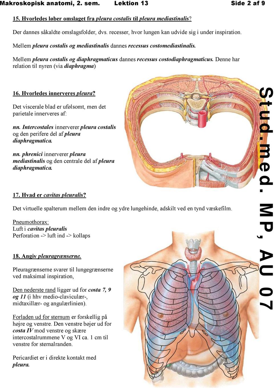 Mellem pleura costalis og diaphragmaticus dannes recessus costodiaphragmaticus. Denne har relation til nyren (via diaphragma) 16. Hvorledes innerveres pleura?
