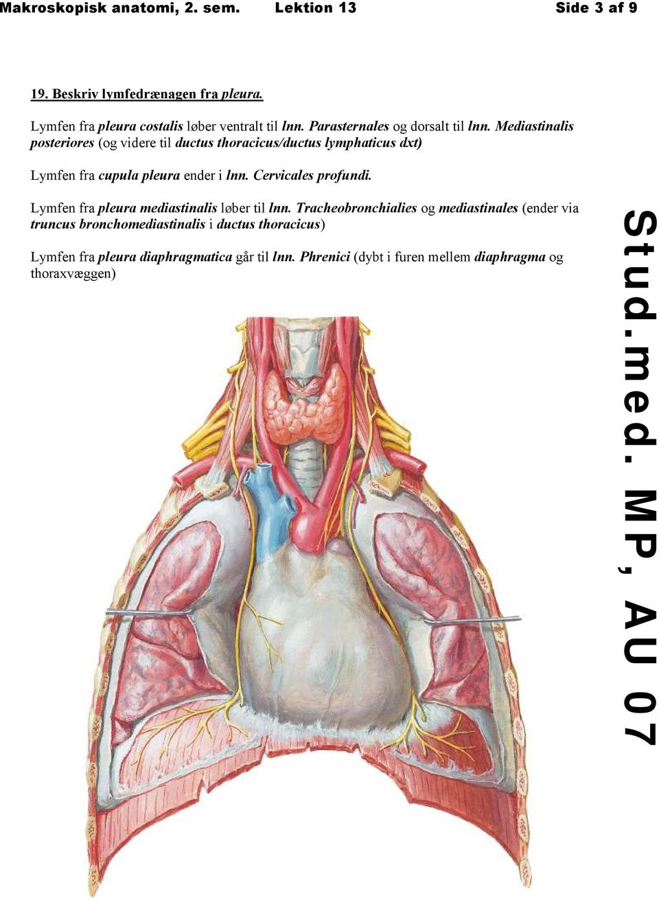 Mediastinalis posteriores (og videre til ductus thoracicus/ductus lymphaticus dxt) Lymfen fra cupula pleura ender i lnn. Cervicales profundi.