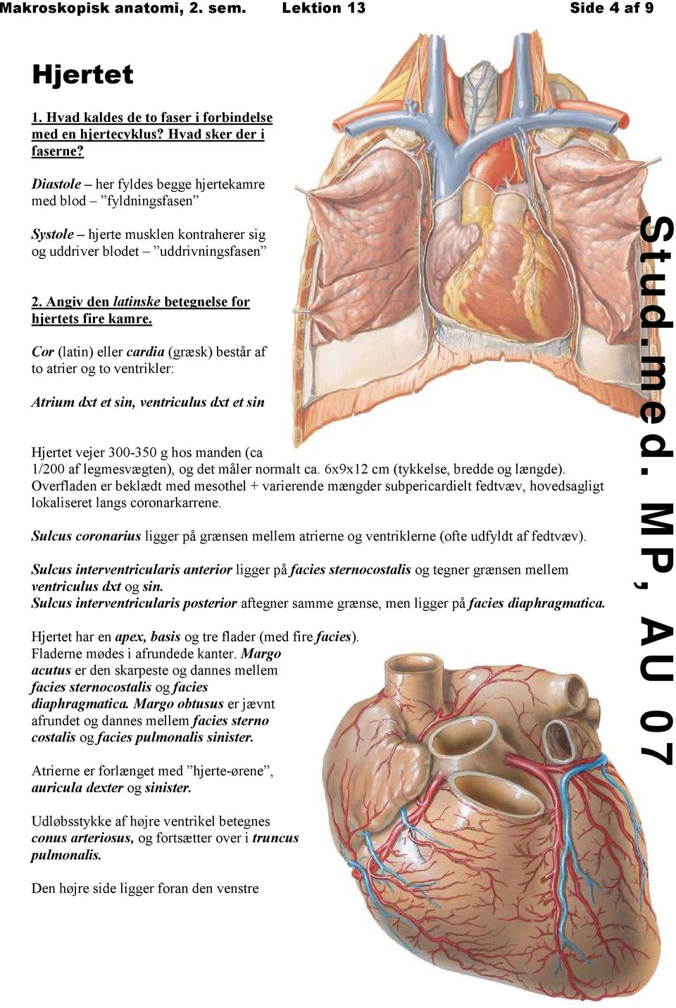 Cor (latin) eller cardia (græsk) består af to atrier og to ventrikler: Atrium dxt et sin, ventriculus dxt et sin Hjertet vejer 300-350 g hos manden (ca 1/200 af legmesvægten), og det måler normalt ca.