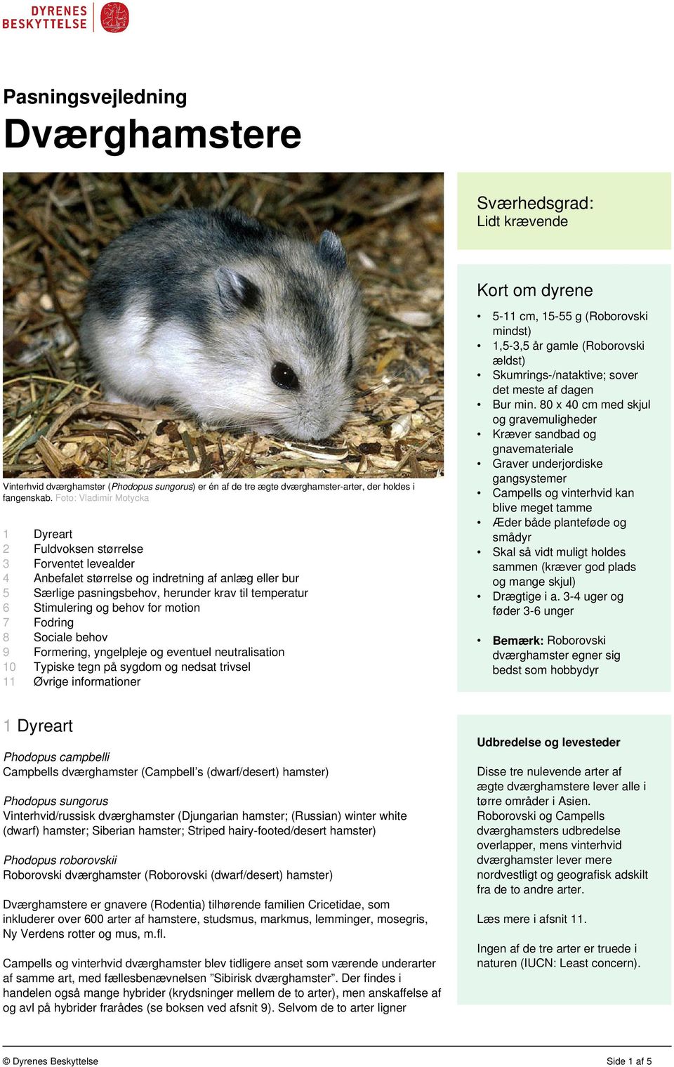 Pasningsvejledning Dværghamstere - PDF Gratis download