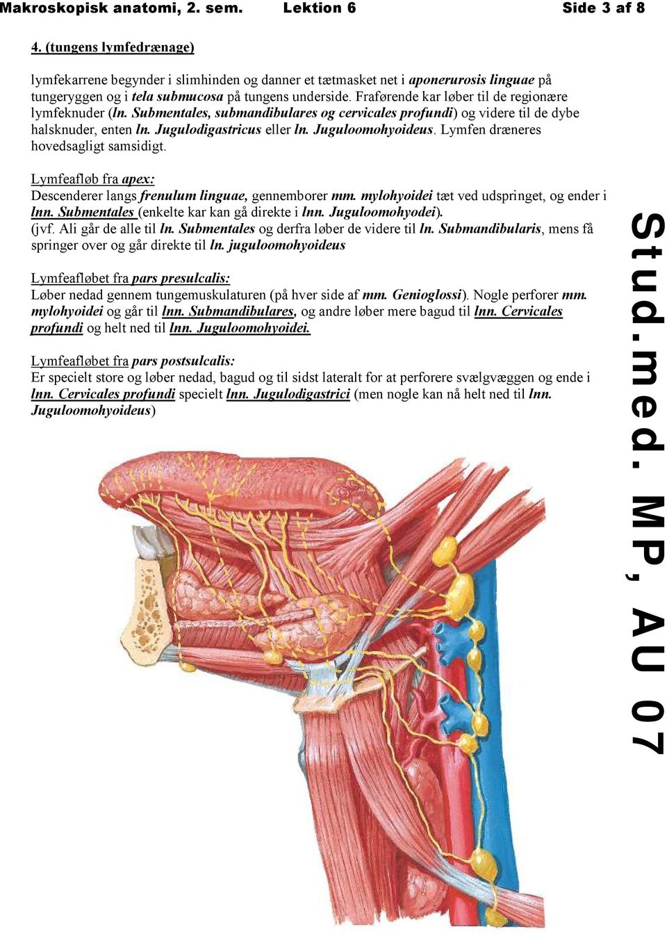 Fraførende kar løber til de regionære lymfeknuder (ln. Submentales, submandibulares og cervicales profundi) og videre til de dybe halsknuder, enten ln. Jugulodigastricus eller ln. Juguloomohyoideus.