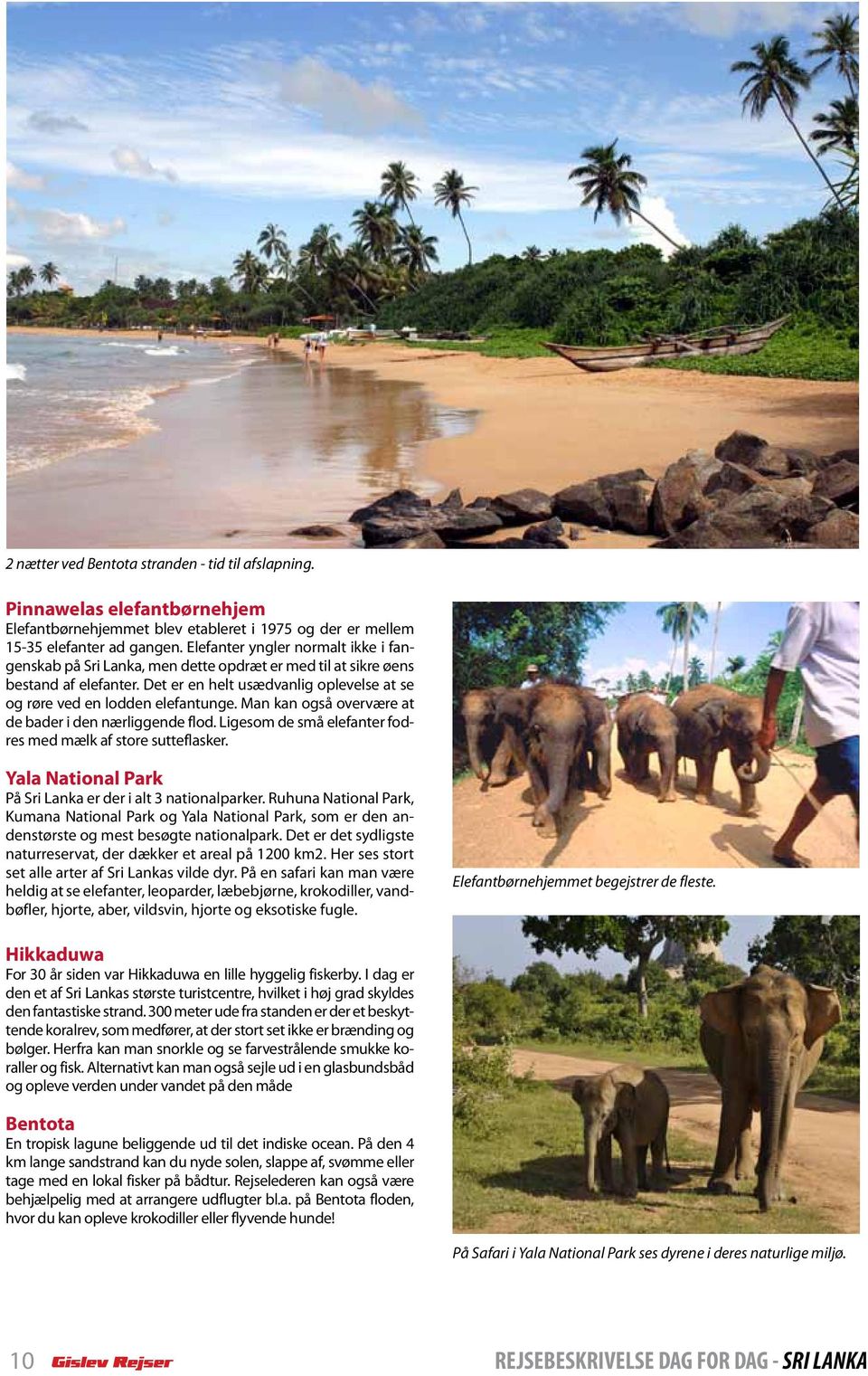 Man kan også overvære at de bader i den nærliggende flod. Ligesom de små elefanter fodres med mælk af store sutteflasker. Yala National Park På Sri Lanka er der i alt 3 nationalparker.