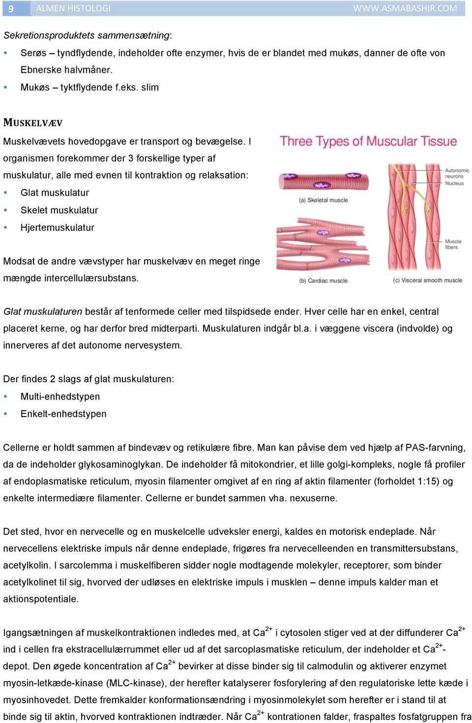 I organismen forekommer der 3 forskellige typer af muskulatur, alle med evnen til kontraktion og relaksation: Glat muskulatur Skelet muskulatur Hjertemuskulatur Modsat de andre vævstyper har