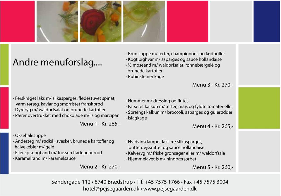 Dit næste Selskab på Hotel Pejsegården... - PDF Free Download