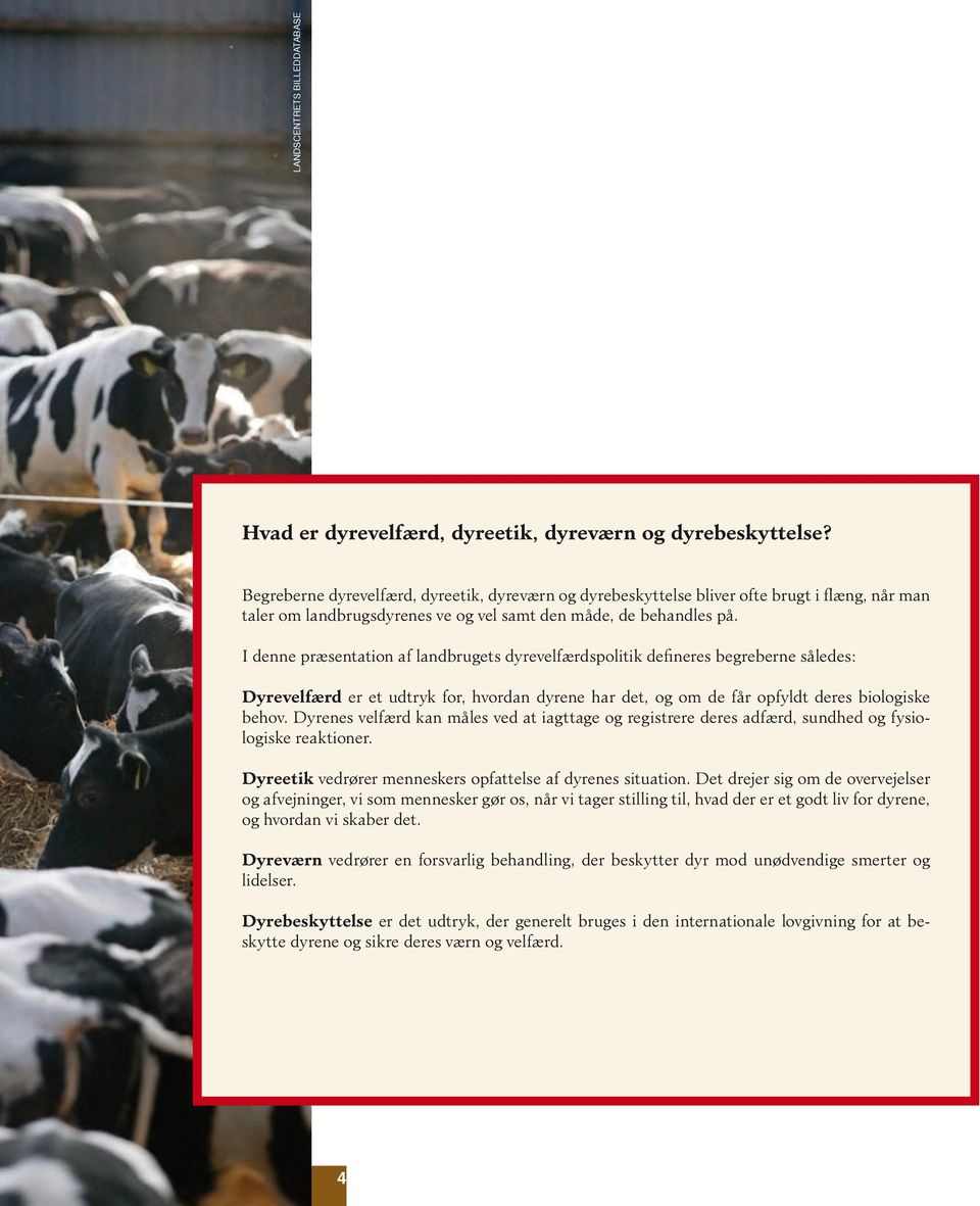 I denne præsentation af landbrugets dyrevelfærdspolitik defineres begreberne således: Dyrevelfærd er et udtryk for, hvordan dyrene har det, og om de får opfyldt deres biologiske behov.