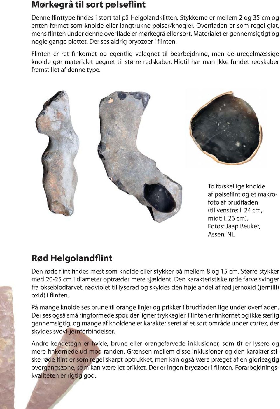Et fremmed råstof i nordisk sten-, bronze- og jernalder - PDF Gratis  download