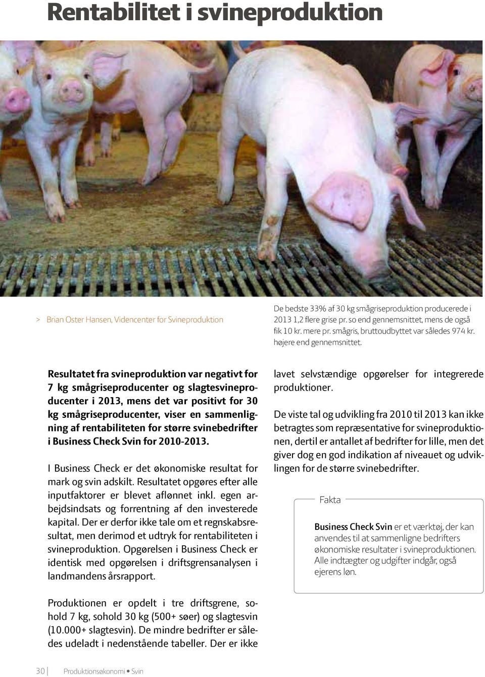 Resultatet fra svineproduktion var negativt for 7 kg smågriseproducenter og slagtesvineproducenter i 2013, mens det var positivt for 30 kg smågriseproducenter, viser en sammenligning af