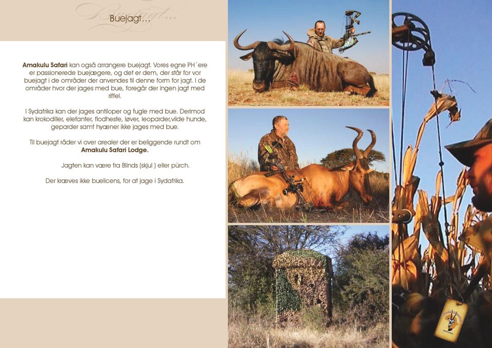 I de områder hvor der jages med bue, foregår der ingen jagt med riffel. I Sydafrika kan der jages antiloper og fugle med bue.