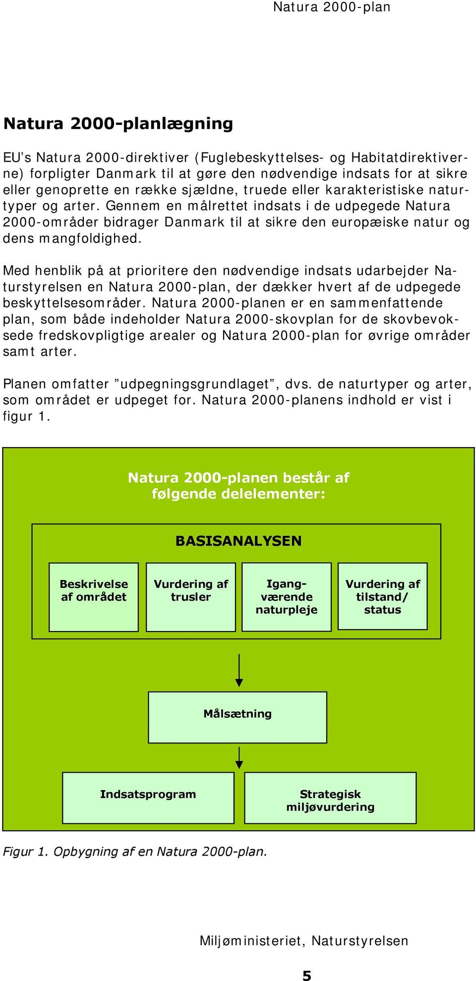 Med henblik på at prioritere den nødvendige indsats udarbejder Naturstyrelsen en Natura 2000-plan, der dækker hvert af de udpegede beskyttelsesområder.