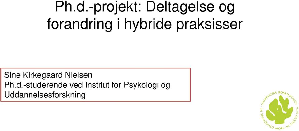 hybride praksisser Sine Kirkegaard Nielsen