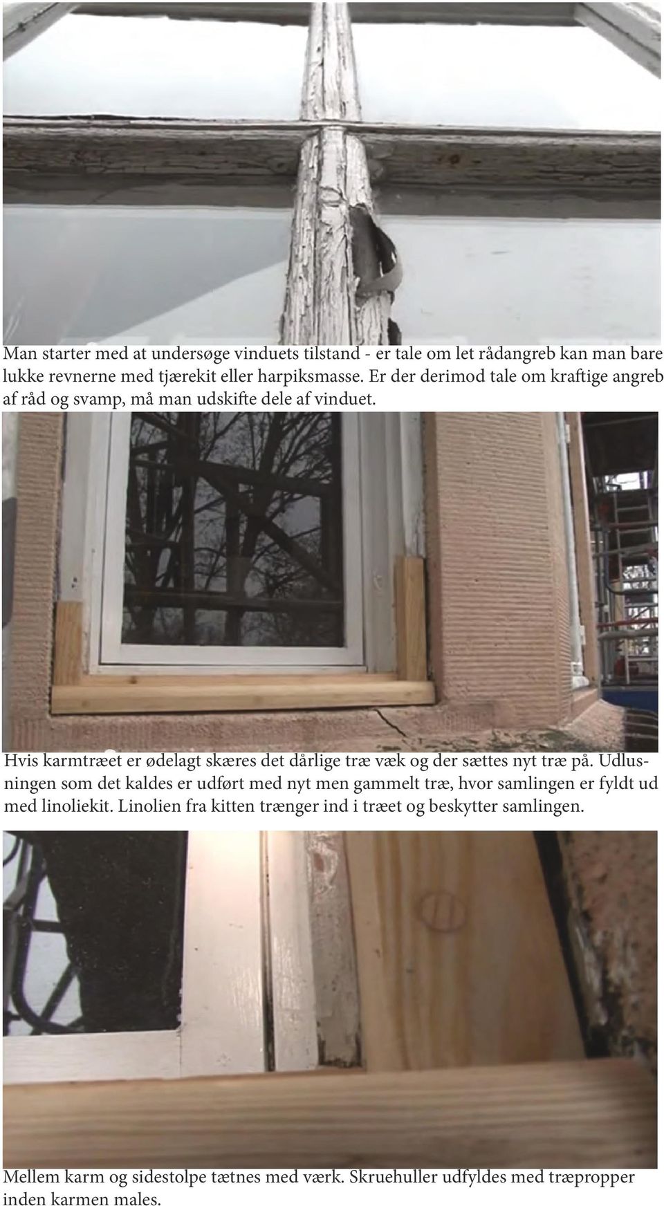 Reparation og maling af vinduer og døre - PDF Gratis download