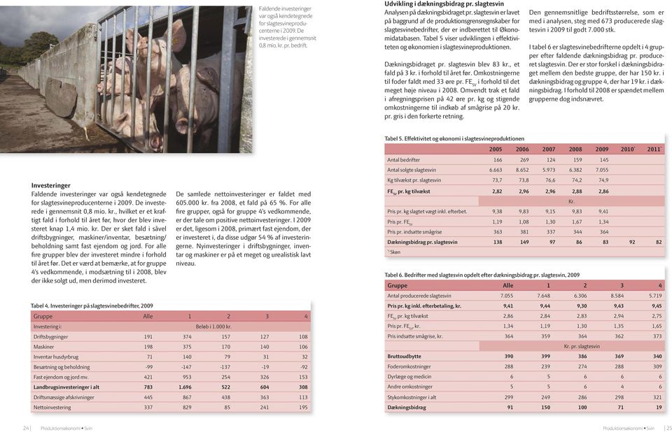 Tabel 5 viser udviklingen i effektiviteten og økonomien i slagtesvineproduktionen. Dækningsbidraget pr. slagtesvin blev 83 kr., et fald på 3 kr. i forhold til året før.