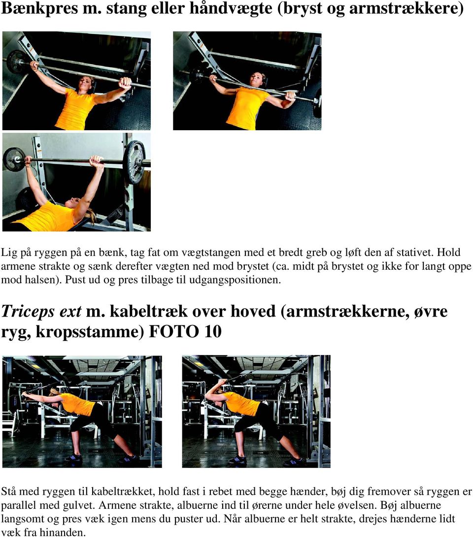 Triceps ext m.