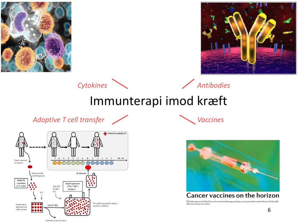 Immunterapi imod